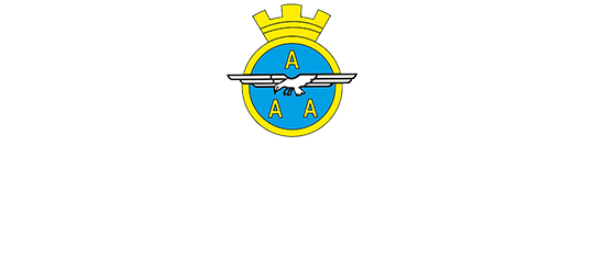 Associazione Arma Aeronautica Sezione Teramo-Giulianova